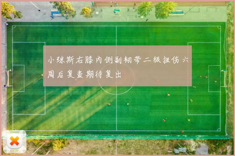 小琼斯右膝内侧副韧带二级扭伤六周后复查期待复出